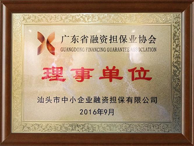 廣東省融資擔(dān)保業(yè)協(xié)會(huì)-理事單位